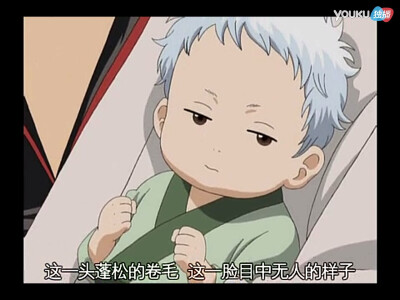 堪七郎宝宝～死鱼眼➕天然卷 像极银时的婴儿