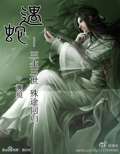 《遇蛇》BY溯痕
——三生三世，殊途同归
