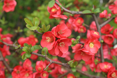 南师大校园一角