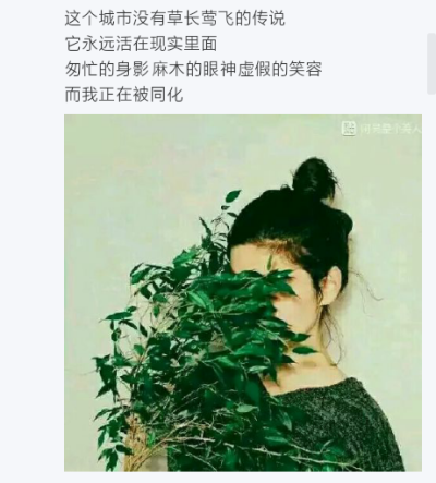 自截图片，文与图----叔泱