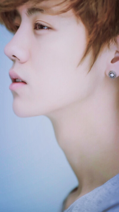 鹿晗（LU HAN）