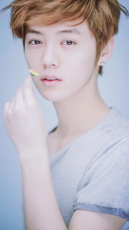 鹿晗（LU HAN）