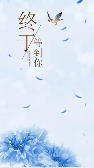 壁纸