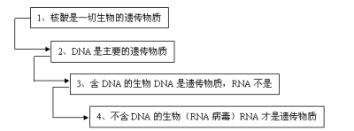 核酸DNA