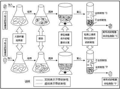 DNA分离