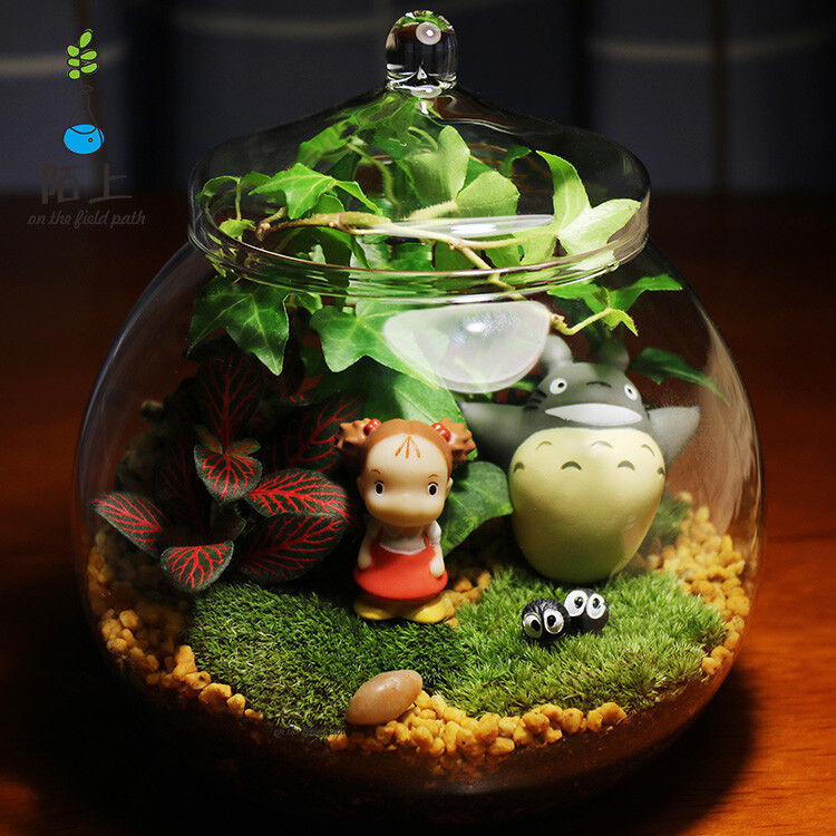 苔藓微景观生态瓶子创意迷你植物DIY办公室桌面玻璃盆栽浪漫礼品