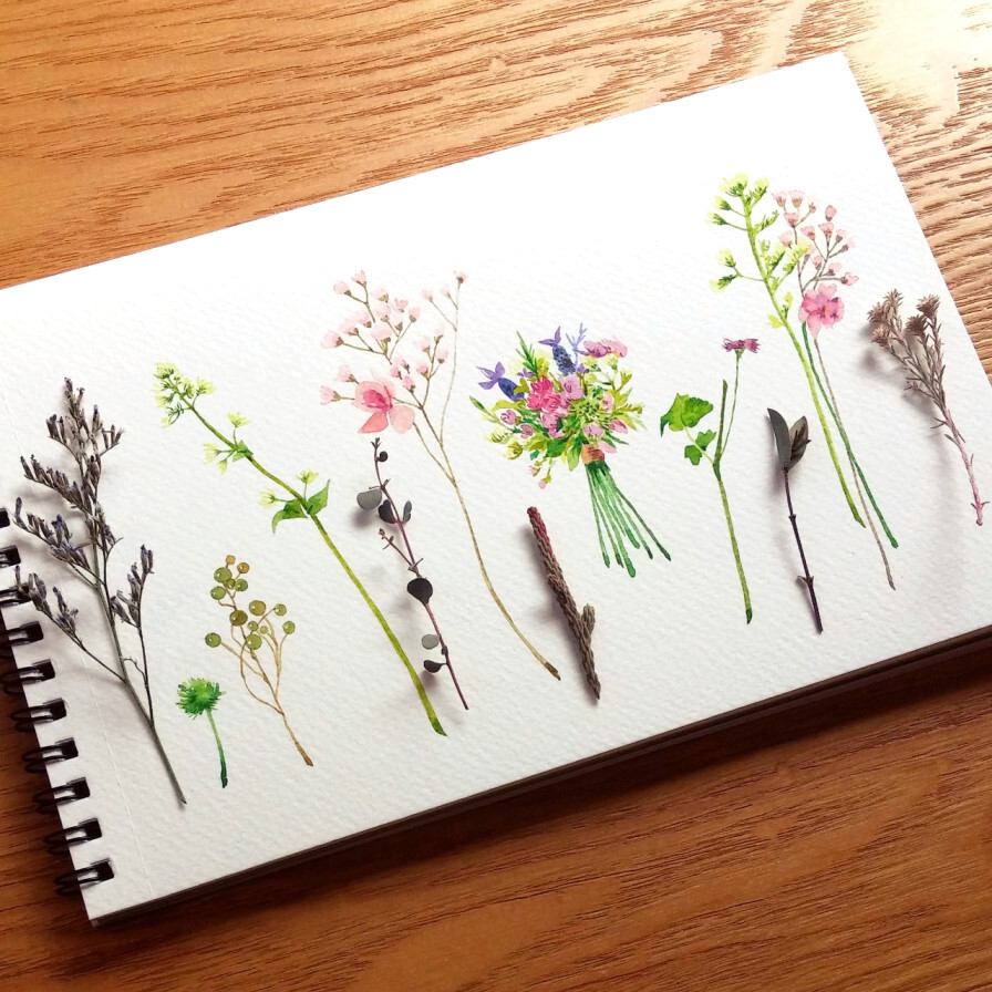 水彩画教程 韩国画师김소라 