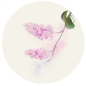 花草 水墨 插画 画师丨无轩丨丨