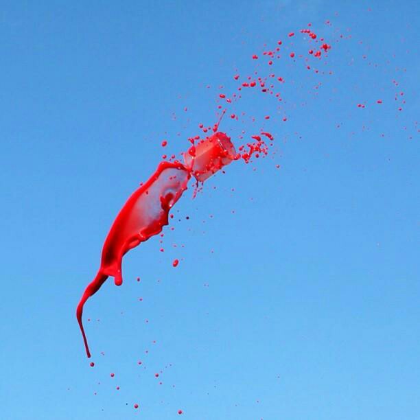 把它们撒向空中，竟然可以这样美!!!