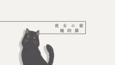 她与她的猫