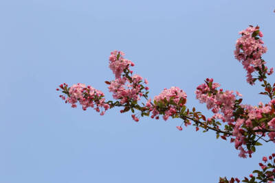 壁纸？ヽ(▽｀)ノ哇♪ヽ(´▽｀)ノ哇♪ヽ( ´▽)ノ