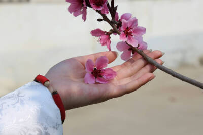 没嘛，我说 我家sa子 的 手