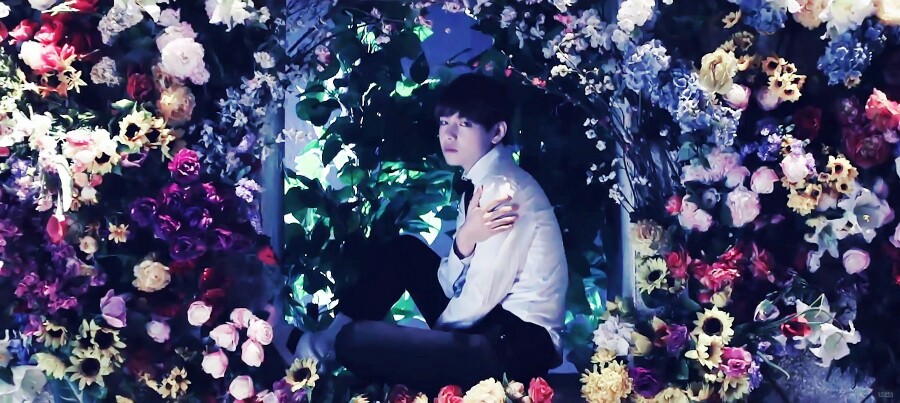 防弹少年团 화양연화V