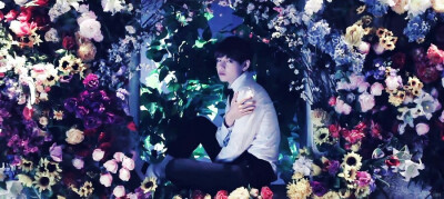 防弹少年团 화양연화V