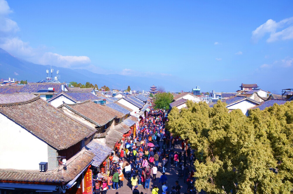 雲南 大理
城墻上
鮮艷美麗的你們