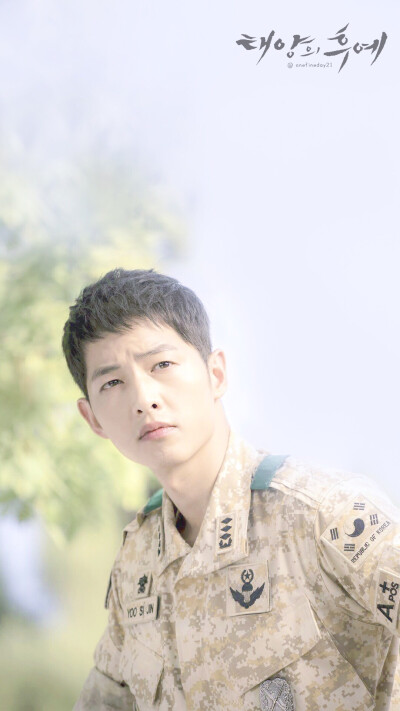  #太阳的后裔# #태양의후예# #矿泉水夫妇# #双宋CP# #宋仲基# #宋慧乔# Descendants of the sun ♡ cr：logo 手机壁纸