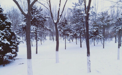 那场雪