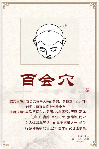 穴位图