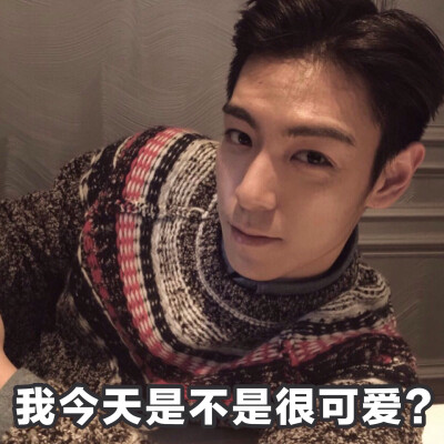 黄油相机app制作 崔胜铉 top big bang