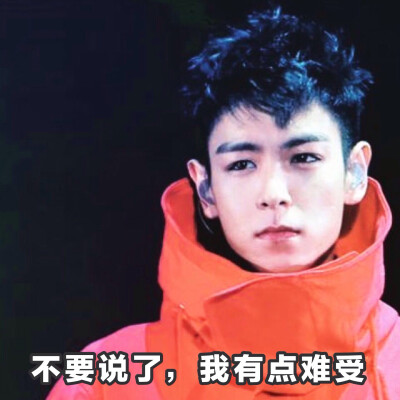 黄油相机app制作 崔胜铉 top big bang