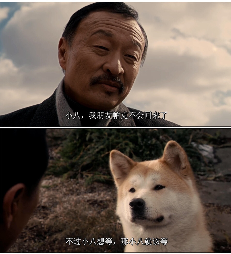 #电影截图《忠犬八公》