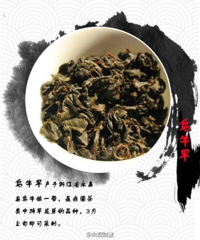 【果断收藏！九张图教你喝春茶】不少爱喝茶的人都爱春茶，特别是明前茶。春茶陆续开始上市，你准备好尝鲜了吗？福建白茶、乌牛早、竹叶青、蒙顶甘露、太姥莲心茶……每款茶各有什么特点？春茶价格如何？@消费主张 为…