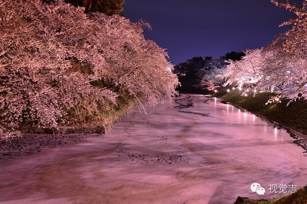 日本三大夜樱公园之一