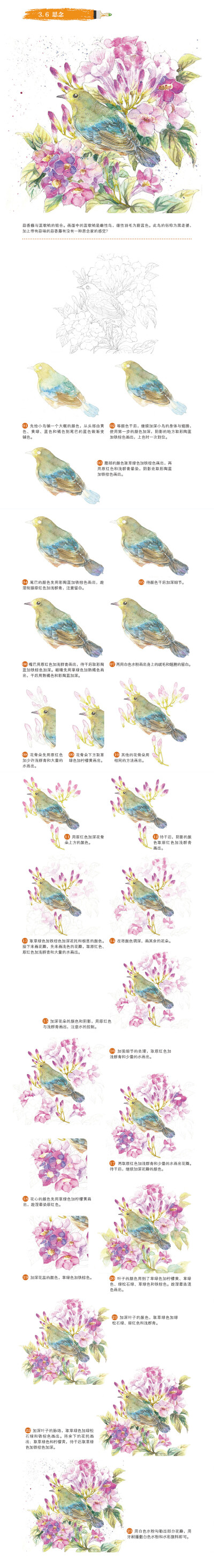 本案例摘自人民邮电出版社出版、爱林文化主编的《以水为媒 水彩画入门完全自学教程》http://product.dangdang.com/23858588.html