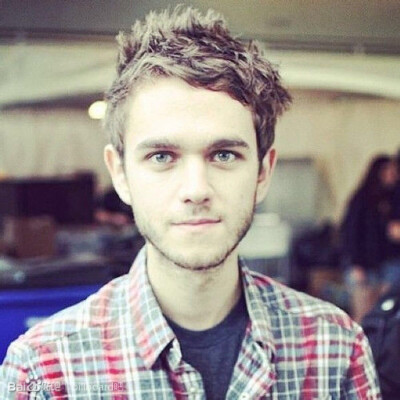 zedd