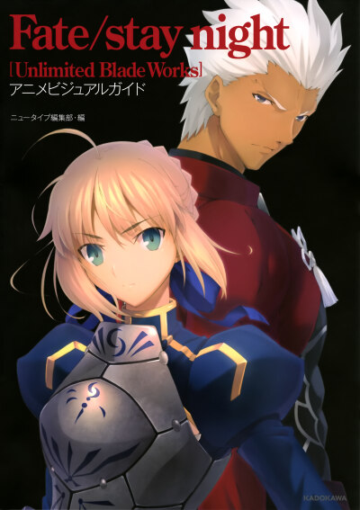 FATE Saber Archer