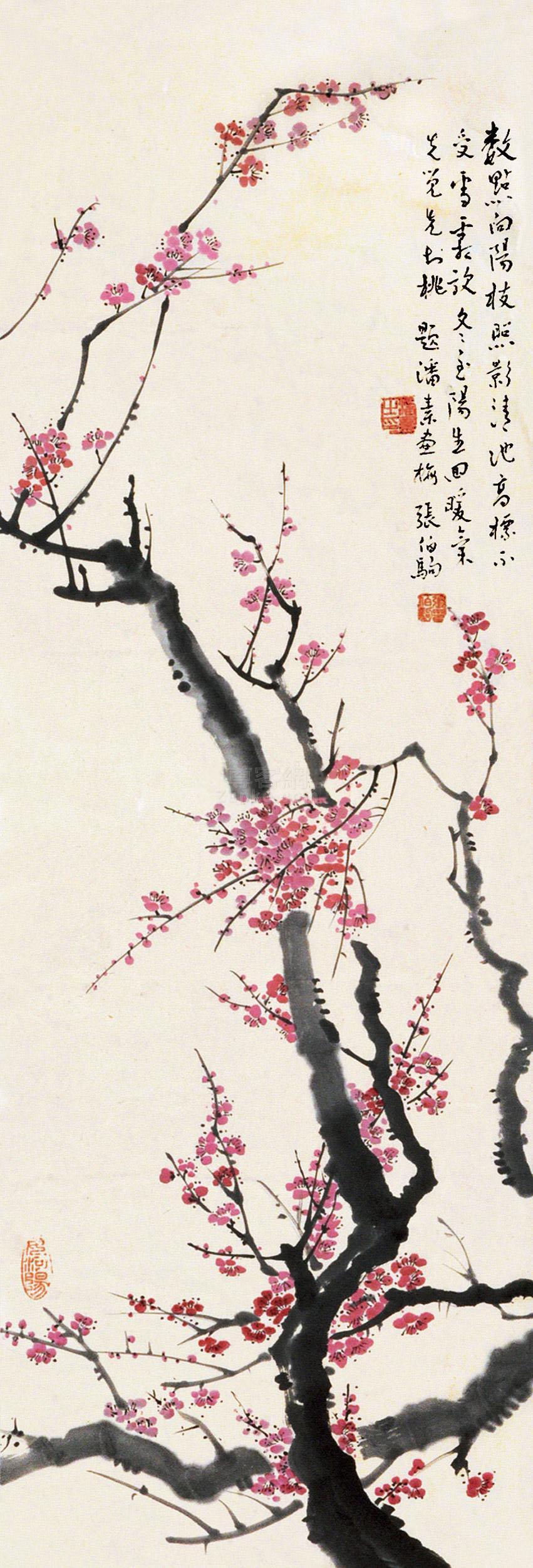 张伯驹梅花立轴纸本作品欣赏