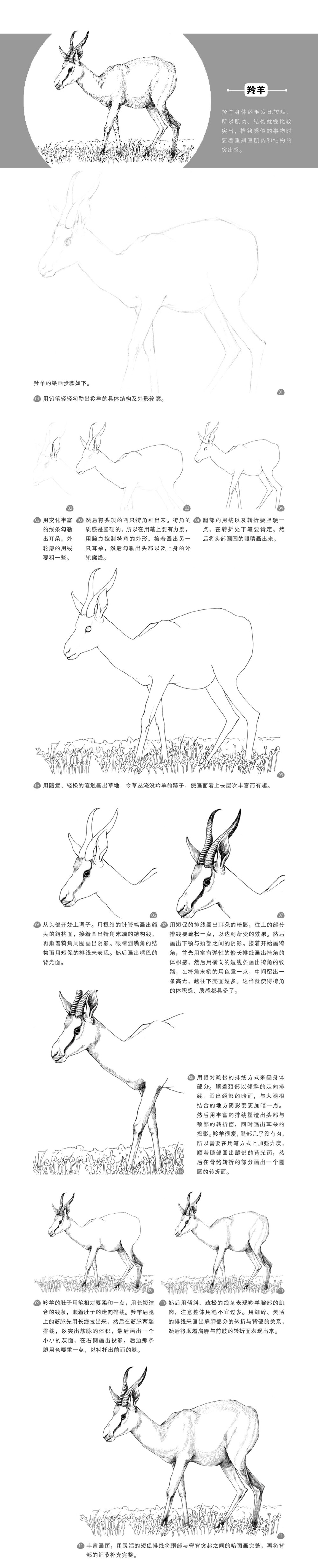 本案例摘自人民邮电出版社出版的《黑白绘：钢笔画技法完全自学教程》http://product.dangdang.com/23906160.html