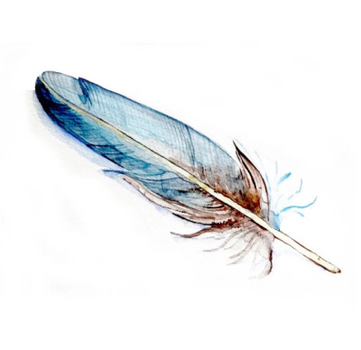 羽•水彩