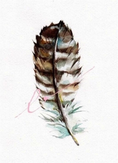 羽•水彩