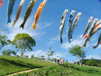 日式 和风 鲤鱼旗 旗帜 夏天 小清新 清风 盛夏 日本 鲤帜/こいのぼり 