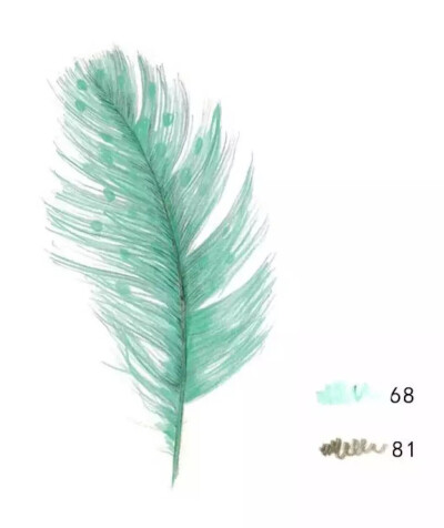 羽•水彩