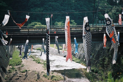 日式 和风 鲤鱼旗 旗帜 夏天 小清新 清风 盛夏 日本 鲤帜/こいのぼり 