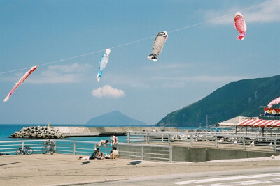 日式 和风 鲤鱼旗 旗帜 夏天 小清新 清风 盛夏 日本 鲤帜/こいのぼり 