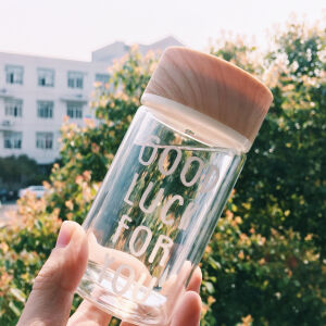 透明耐热双层玻璃杯带盖过滤泡茶杯创意随手家用水杯子便携随行杯