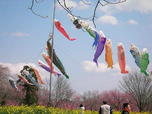 日式 和风 鲤鱼旗 旗帜 夏天 小清新 清风 盛夏 日本 鲤帜/こいのぼり