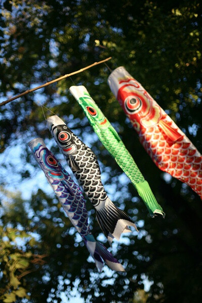 日式 和风 鲤鱼旗 旗帜 夏天 小清新 清风 盛夏 日本 鲤帜/こいのぼり