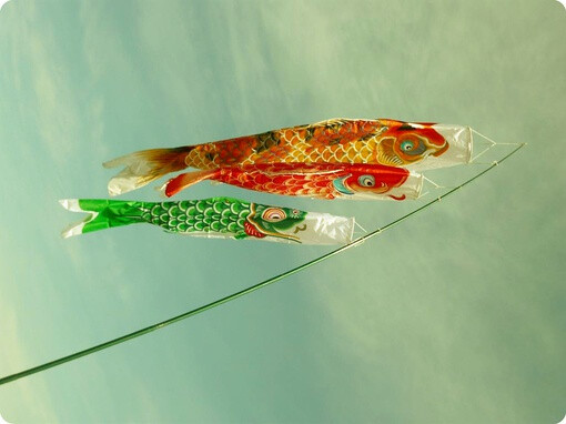 日式和风鲤鱼旗旗帜夏天小清新清风盛夏日本鲤帜こいのぼり