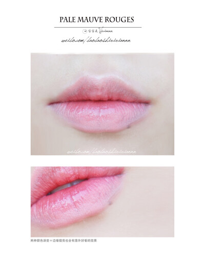 lipmakeup｜COMPARE PALW MAUVE
两种不同类型的豆沙色口红对比5.
ETUDEHOUSE rose tintlips / LANCÔME rouge definition 微博：宝宝是Viviannn