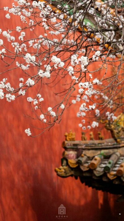 杏花春雨杨柳风，红墙绿瓦宫门重。