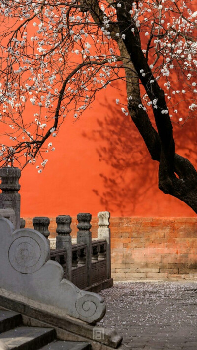 杏花春雨杨柳风，红墙绿瓦宫门重。