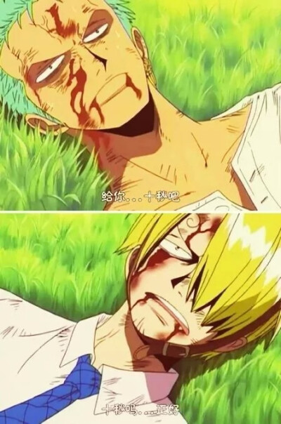 #海贼王#索隆#山治#动漫截图