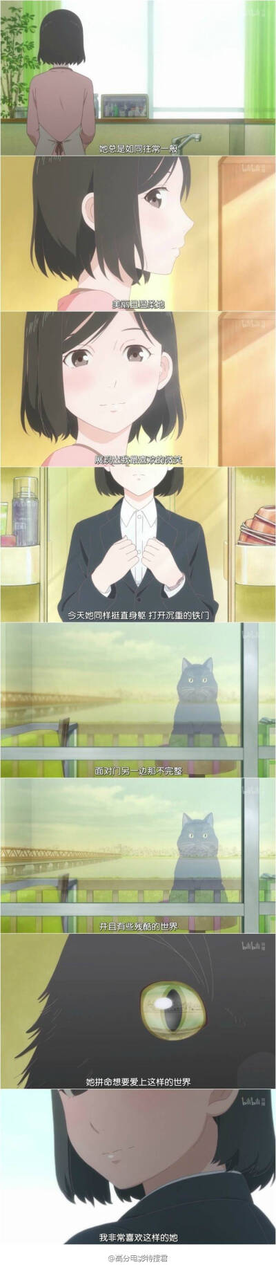 她和她的猫