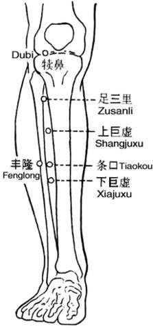 人体12个重要的穴位