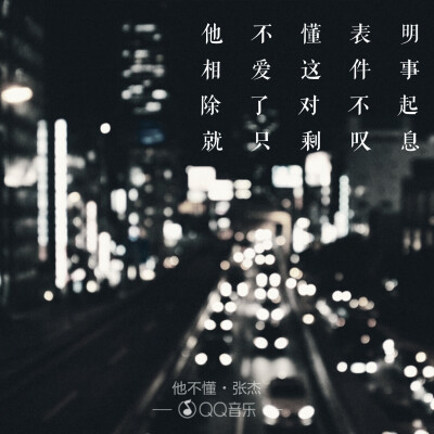 他不懂-张杰