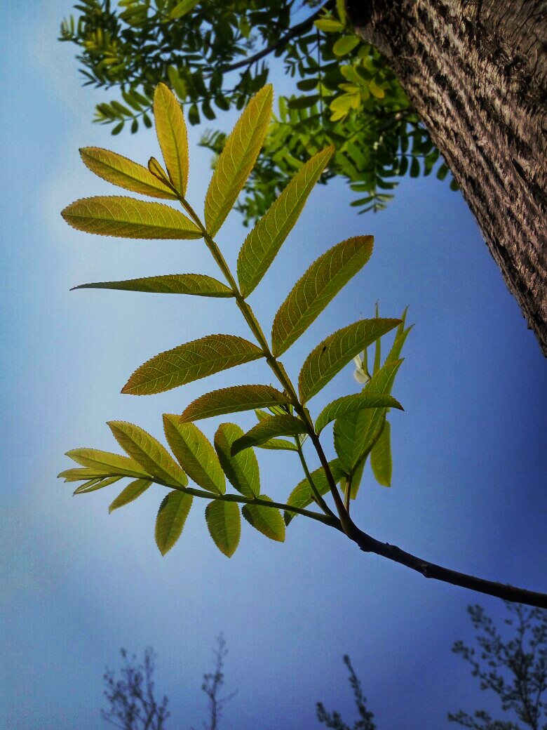 滤镜sunuy超还原嘤嘤嘤好棒啊啊啊啊